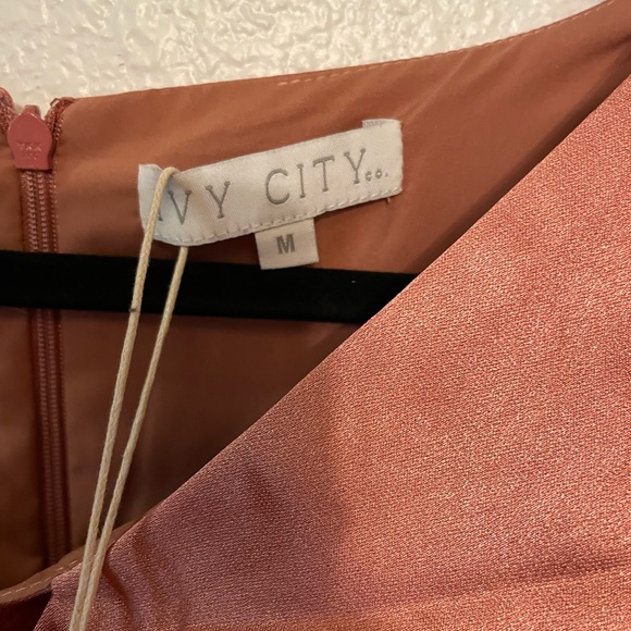 NWT Ivy City Audrey dress in Rose size medium, short sleeve midi zipper - Picture 5 of 6